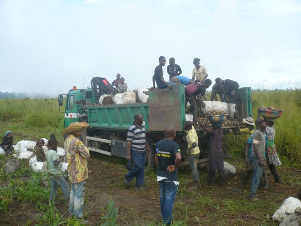 Ferme_de_Musabu_recolteere-2c2