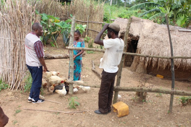 Le Sécrétaire Exécutif de Caritas Congo Asbl visitant le poulailler d'une OP