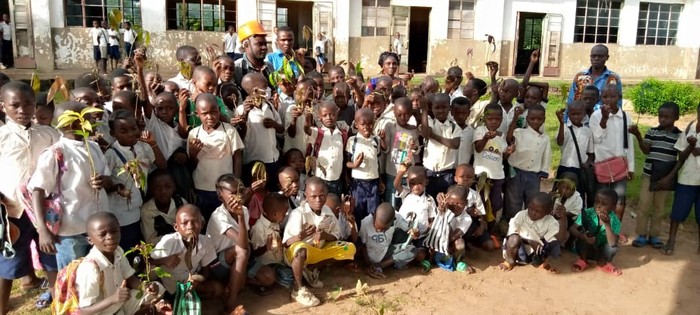 Samba-coles-sensibilises-arbre-a72