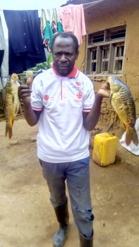 Récolte des poissons clarias, tilapia et carpes à Musienene/ Caritas Butembo-Beni