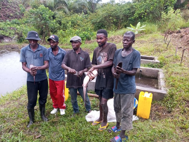 Bénéficiaires au site piscicole à Kinsiona Bénéficiaires au site piscicole à Kinsiona