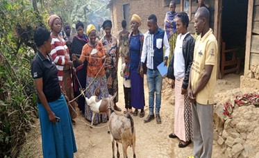 Rotation de géniteurs caprins aux différents membres CEP Tupendane 