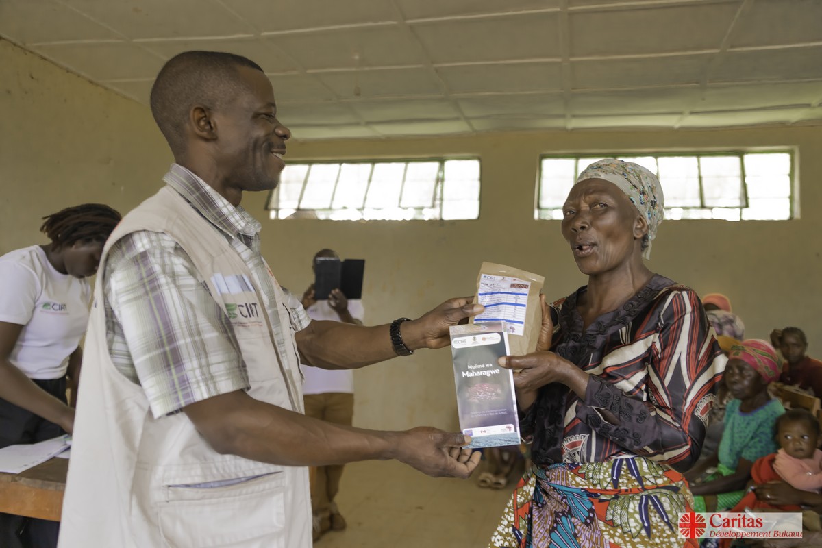 Caritas Bukavu distribution des intrants agricoles à 20000 ménages