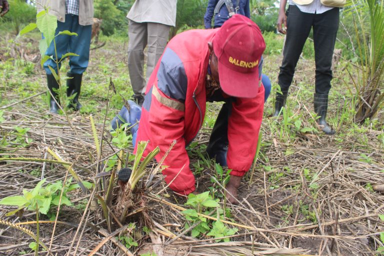 WhatsApp Image 2025-12-16 at 10.44.52