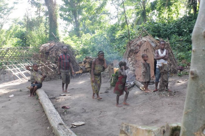 un groupe des peuples autochtone dans la foret à Mambasa