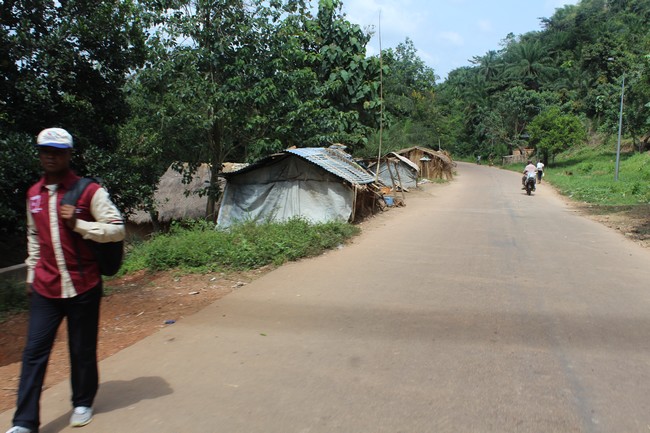 Des huttes construites par les sinistrés le long de la route à Mobayi-Mbongo