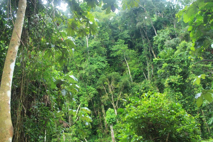 cccccccconcesion-a2d