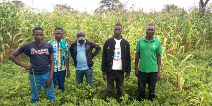 Kongolo-jeunes-dans-champ-arachides-2-97d