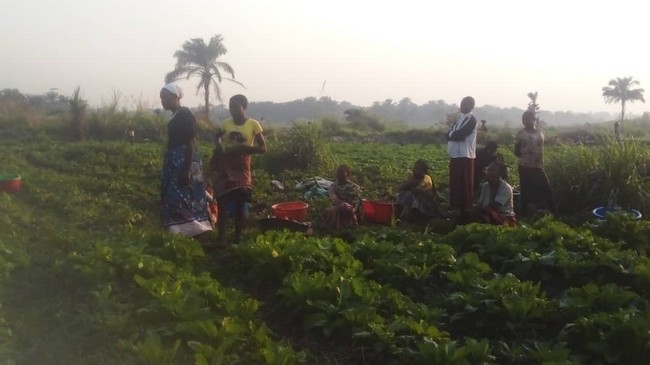 Tshilomba_femmes_maraichere-f29