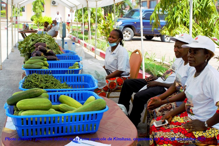 WhatsApp_Image_2025-02-12_at_14.17.30-7dd