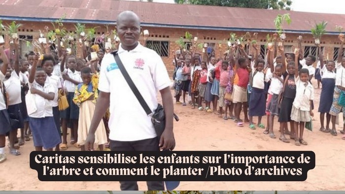 Bunia_arbres_archives-83e