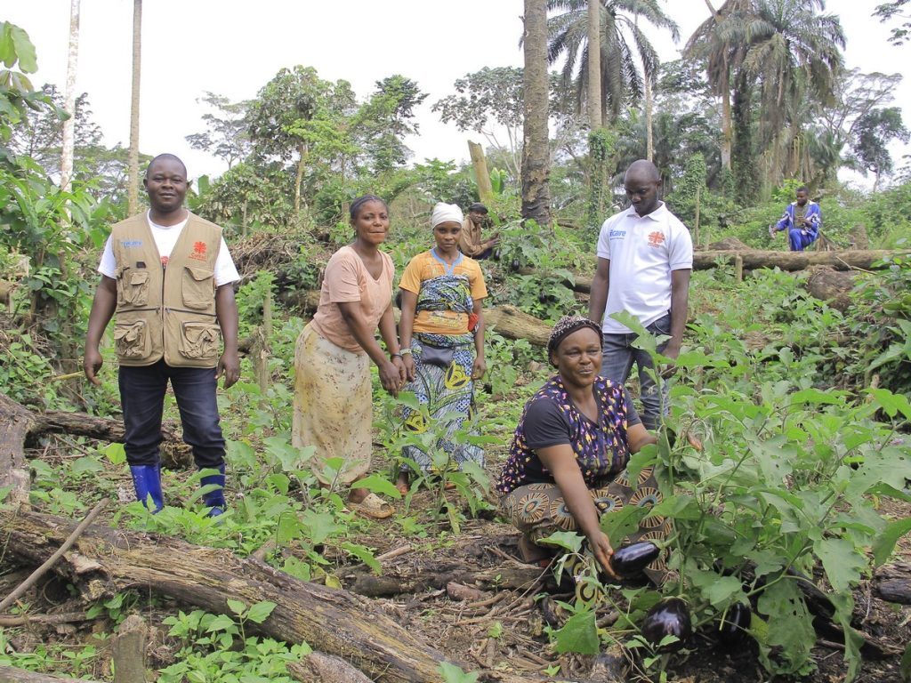 Aubergines récoltées par des femmes encadrées par la Caritas Wamba à Mambasa