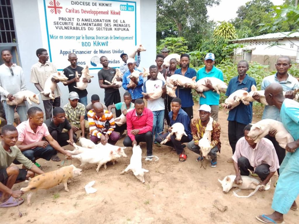 Distribution des porcelets aux ménags par le BDD_Caritas Kikwit